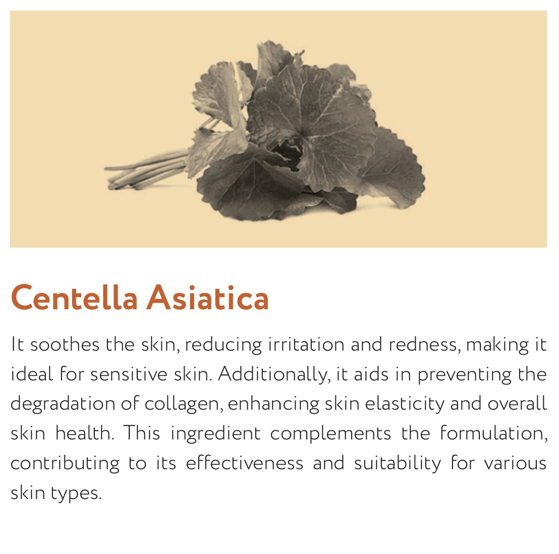 Mesoheal® Amber Glow - Image 5